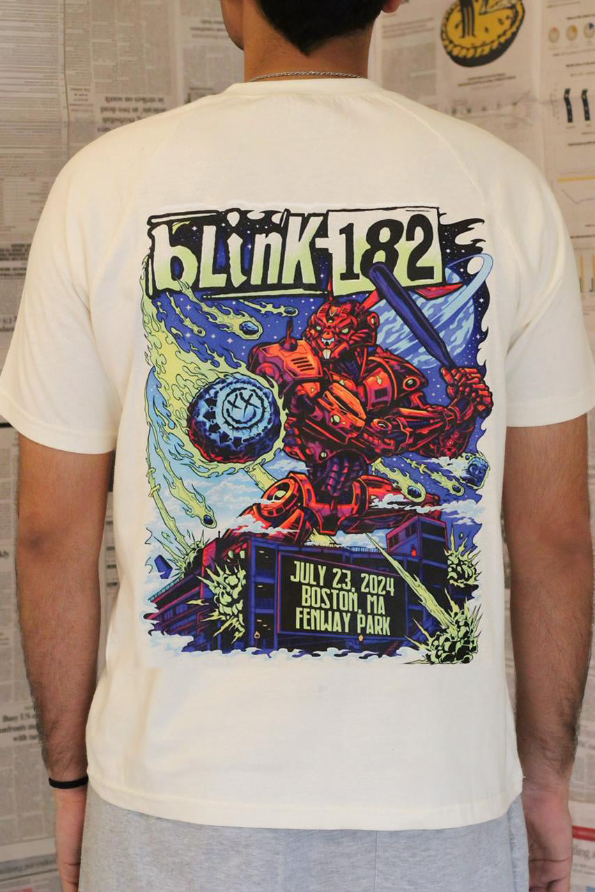 Blink 182 Raglan T-Shirt